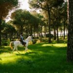 How an RTÉ House-Hunting Trip Led to a Dream Home in the South of France