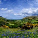 Why Ballycastle Belongs on Every Elegant Northern Ireland Escape