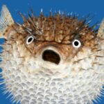 Top Famous Historical Myths That Were Created for Political Purposes