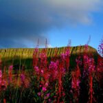 Ireland Travel Guide to Carrowmore: Discover One of the World’s Oldest Megalithic Cemeteries