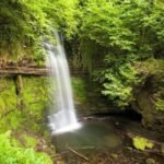 Ireland Travel Guide: Discover Blarney Castle’s Poison Garden in County Cork