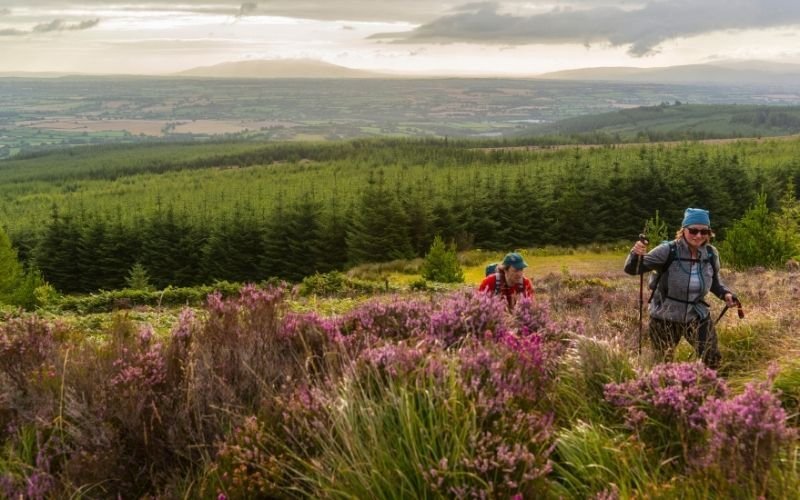 Glen of Aherlow.TipperaryTourism