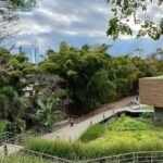 Architecture News: Getty Foundation Expands Conserving Black Modernism With Five Landmark Grantee Sites