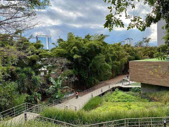 Architecture News: What Green Corridors Mean for Luxury Architecture and Future Cities